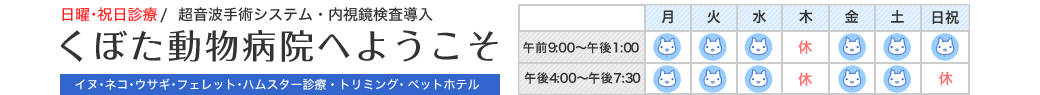 くぼた動物病院へようこそ